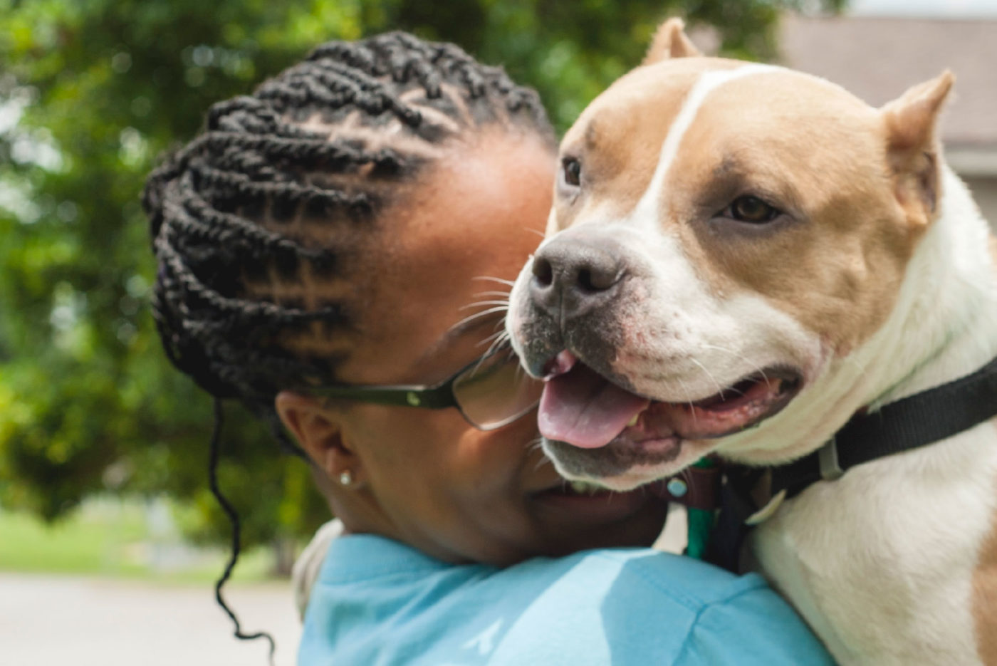 A woman embraces a white and brown-spotted pit bull dog.