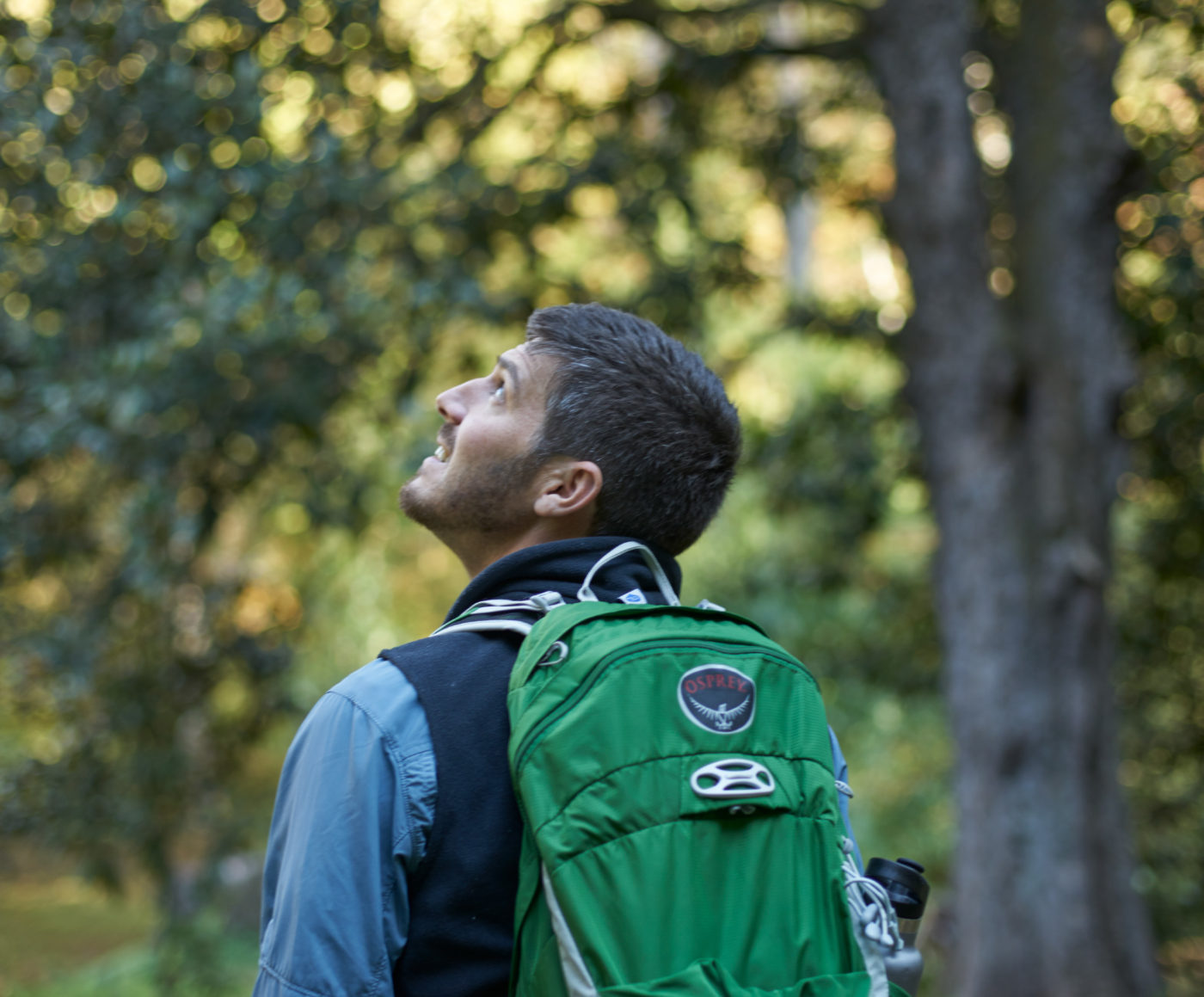A man wearing a green backpack looks upwards through the woods.
