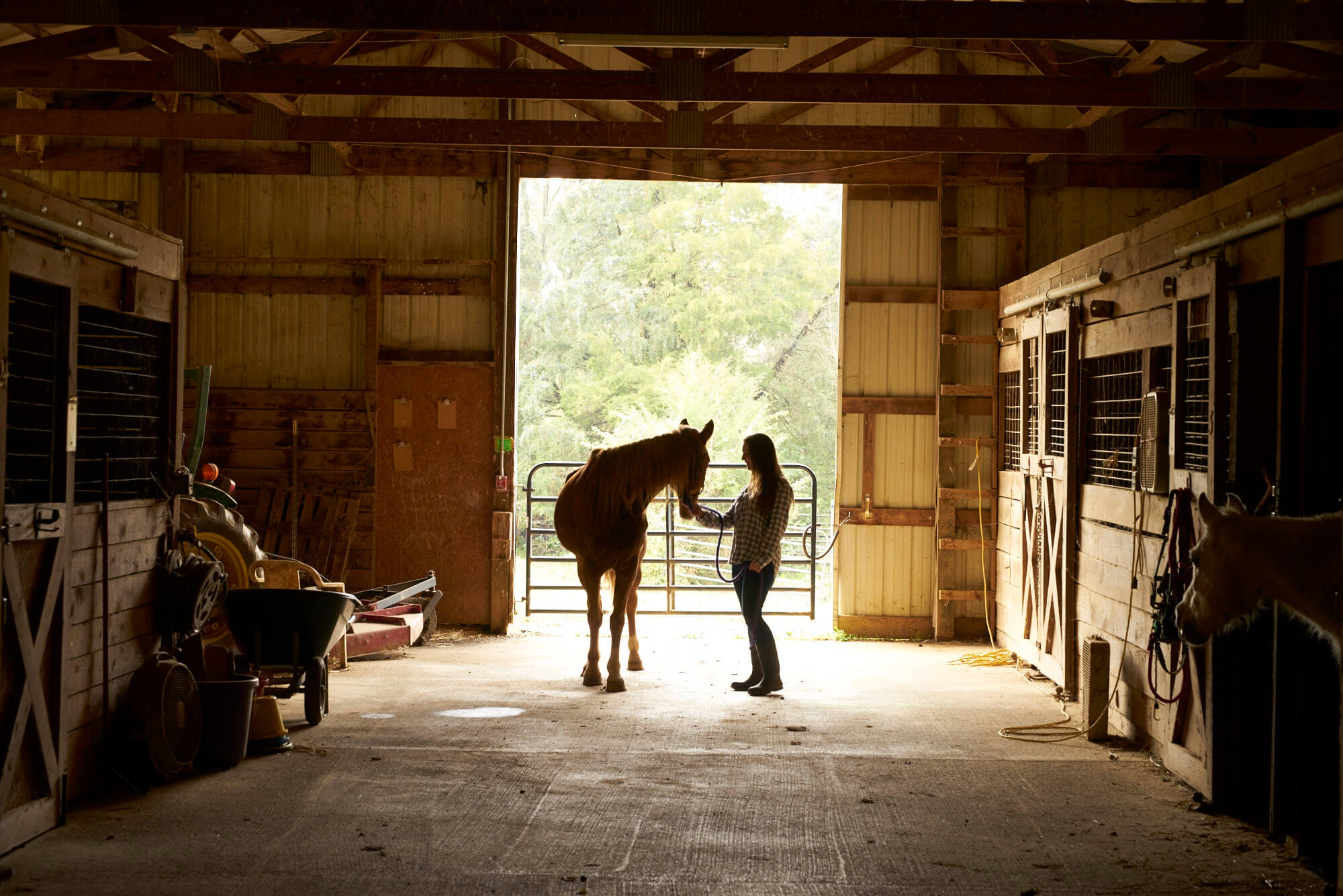 A woman leads a horse through the Horse Haven barn.