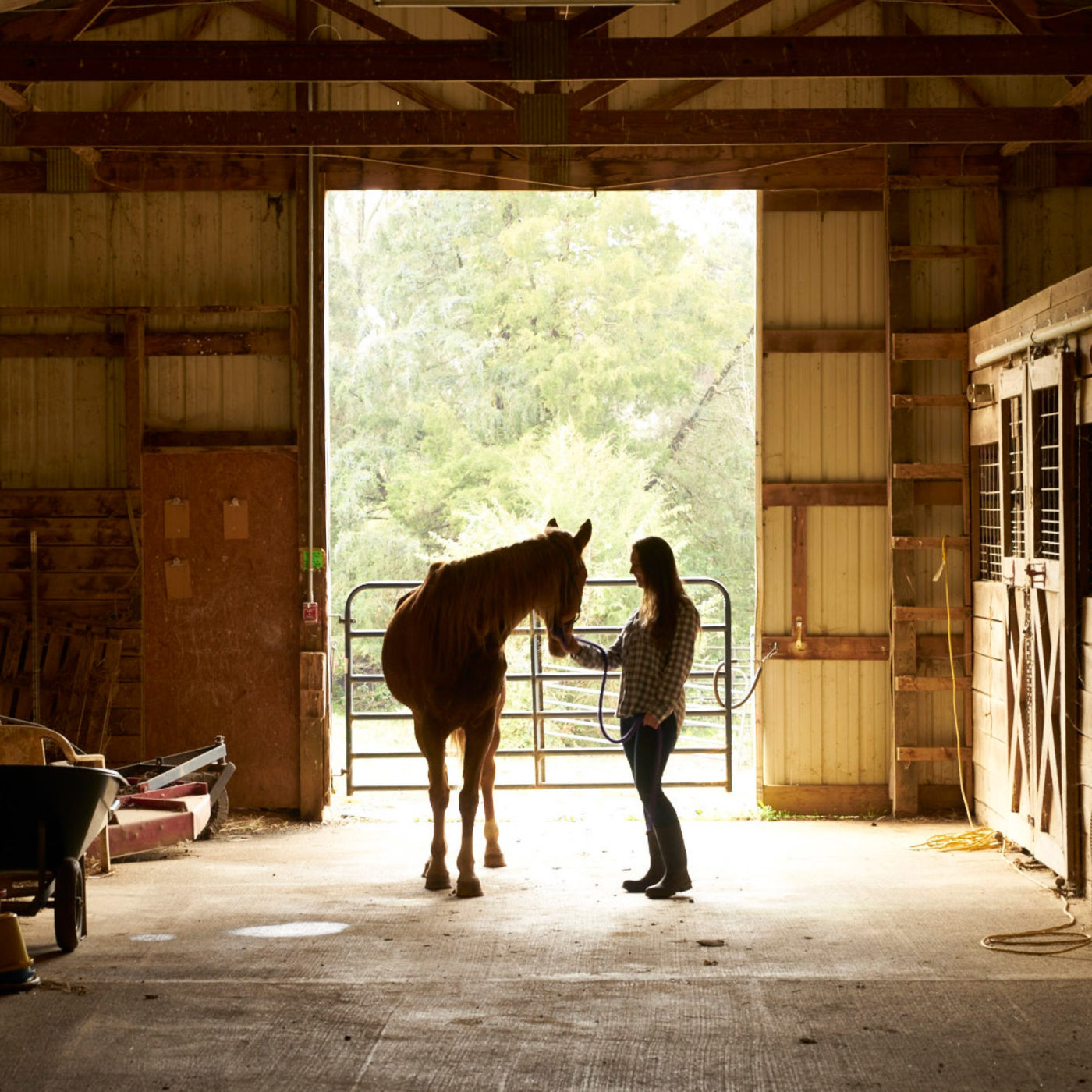 A woman leads a horse through the Horse Haven barn.