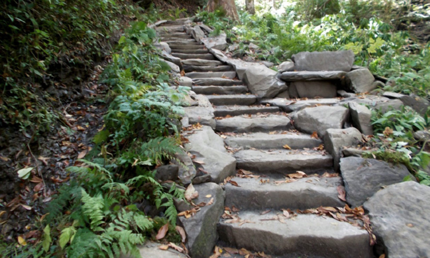 A stone set of stairs winds upwards into the woods.