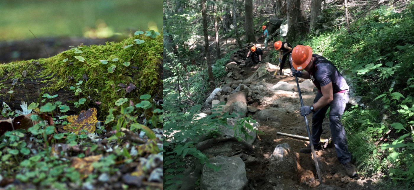 Volunteers shovel a trail in Great Smoky Mountains National Park.