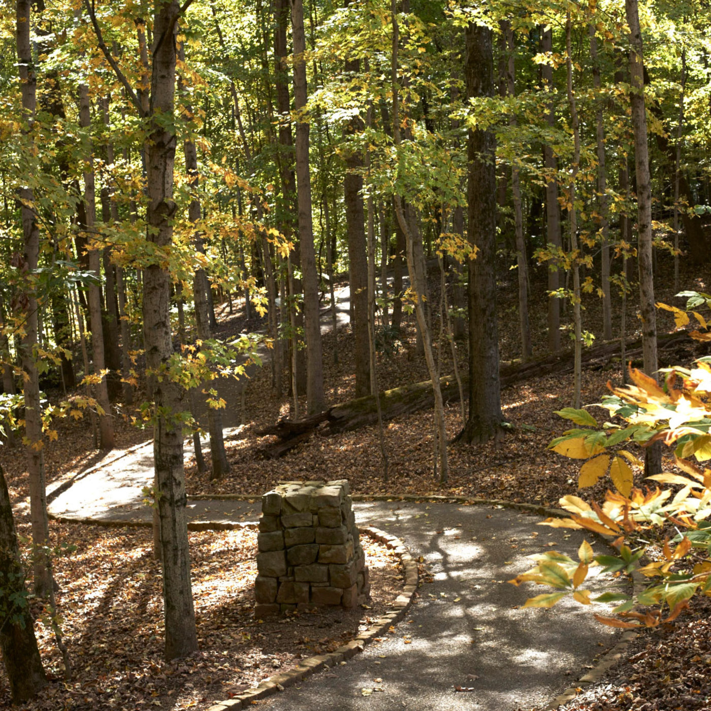 A photo of a trail through the woods at High Ground Park.