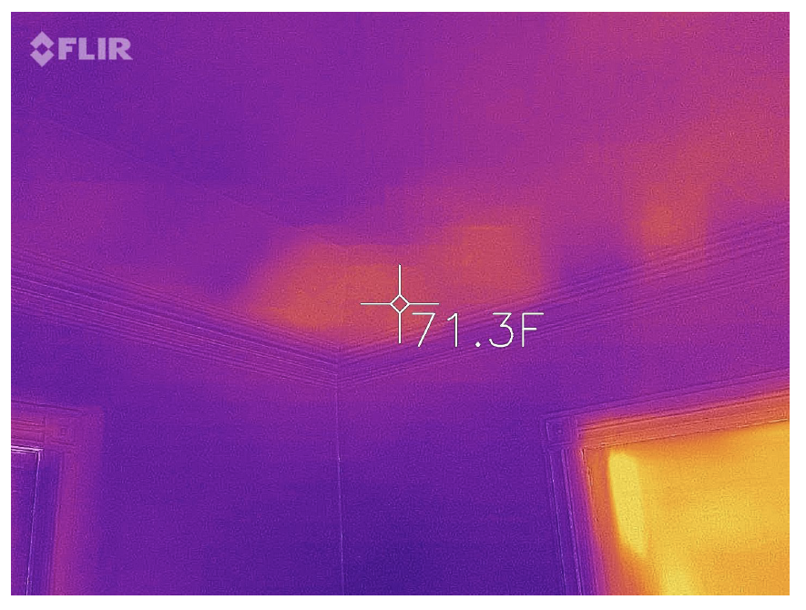 Thermal imaging shows the presence of bees.