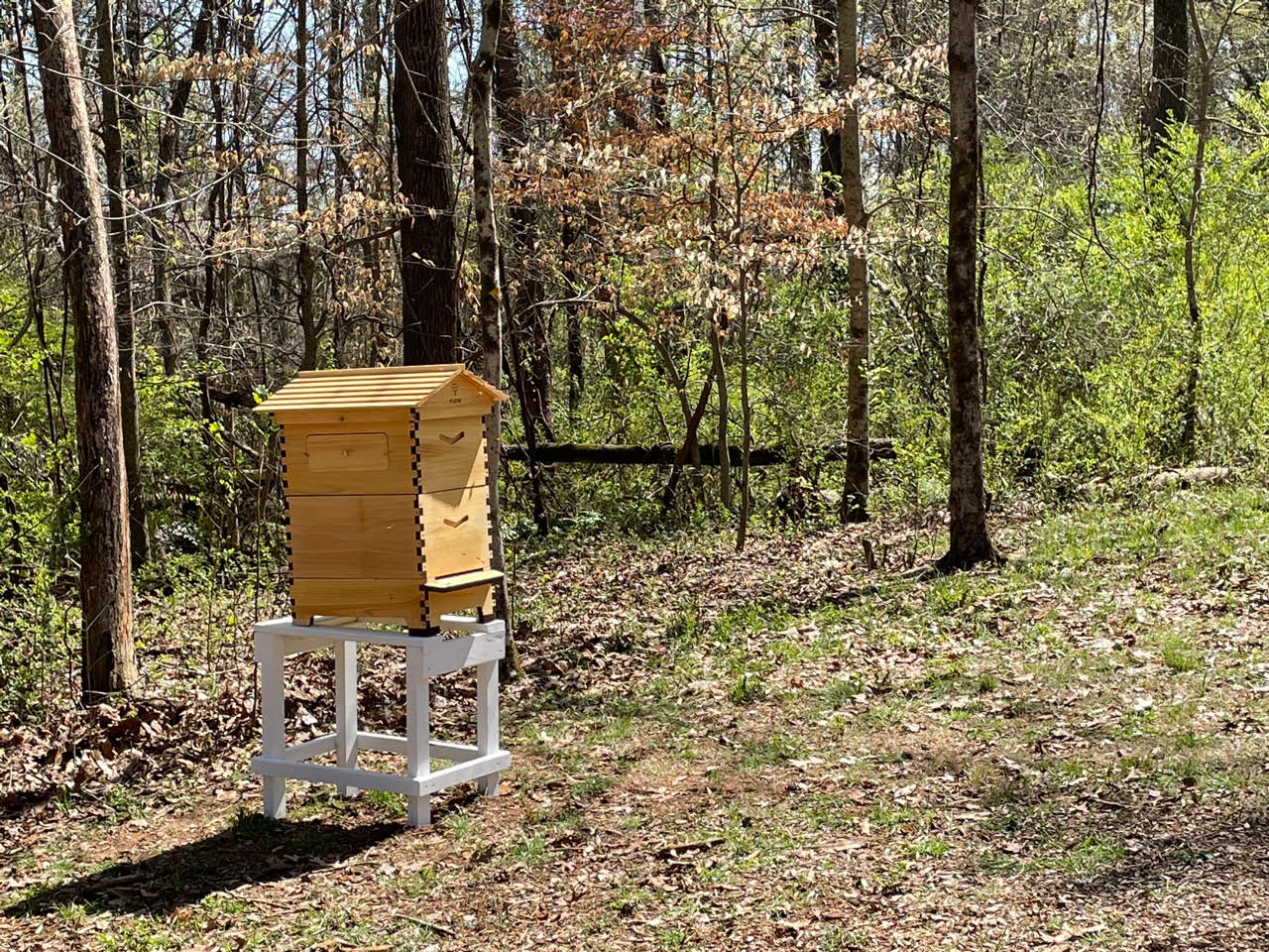 A wooden-framed beekeeping box sits outside the woods at Loghaven Artist Residency.
